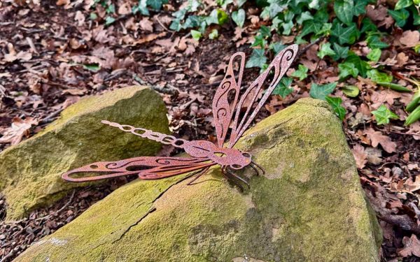 Libelle Rostdeko Illumino.jpg