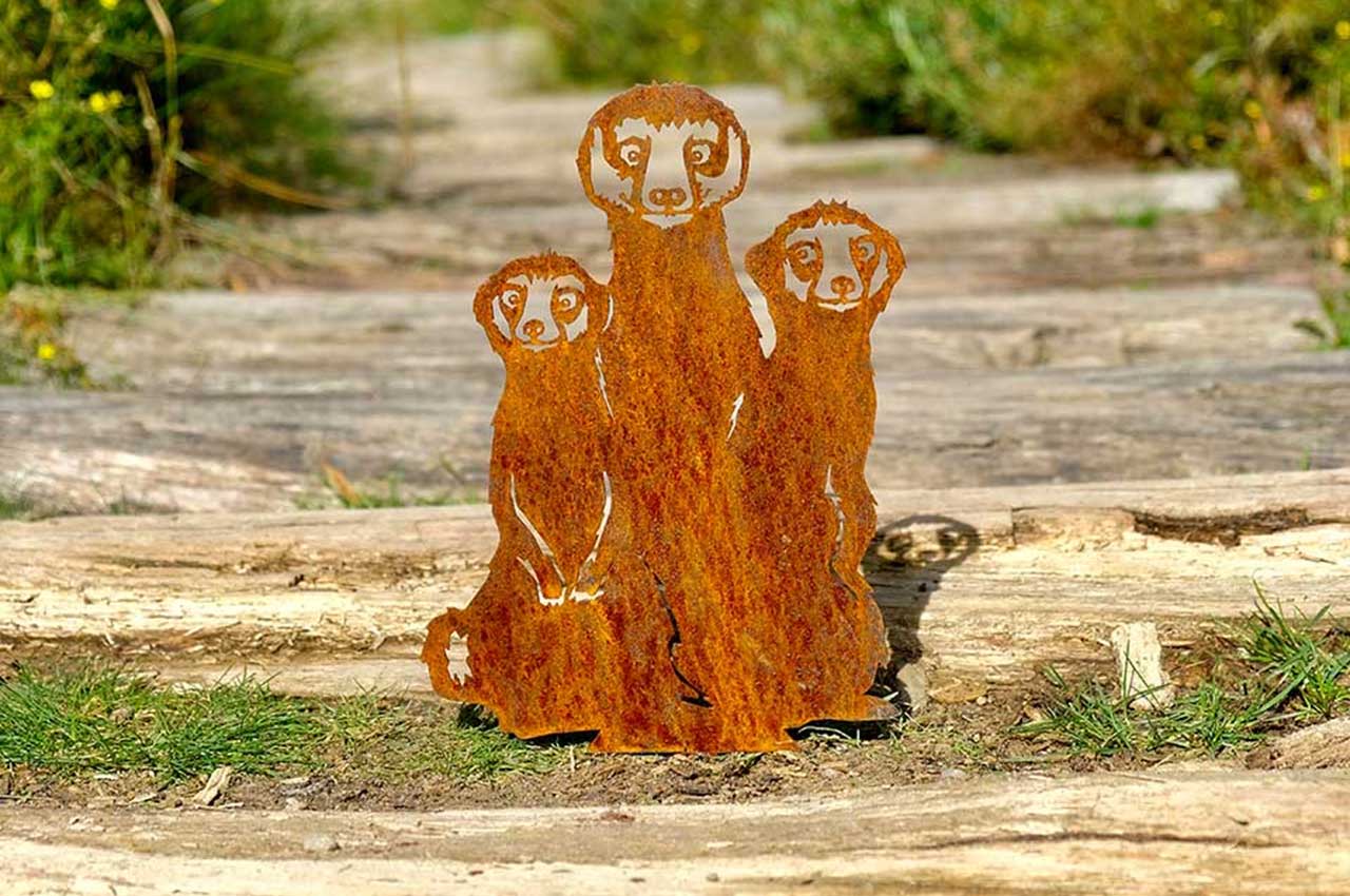 Vorschaubild