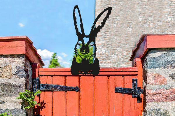 1280x850px_Sillouette_Hase_Zaun_schwarz.jpg